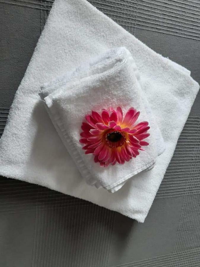 Hotel Magnolia Valmontone Zewnętrze zdjęcie